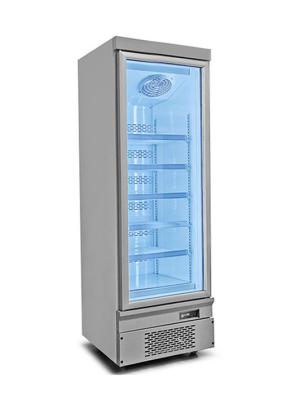 China 110V Commercial Upright Freezer Seafood Ice Cream Frozen Chicken Product Display Freezer à venda