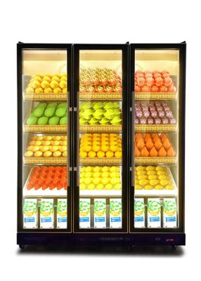 China R134a Bar Refrigerated Showcase Multi Glass Doors Refrigerator 1130L for sale