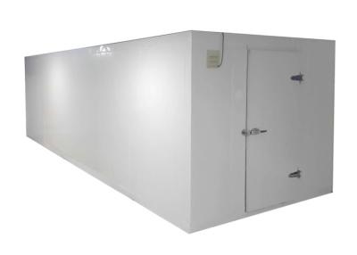 China Negative Temperature Cold Storage Room Sliding Doors Panel Blast Chiller Shock Freezer for sale