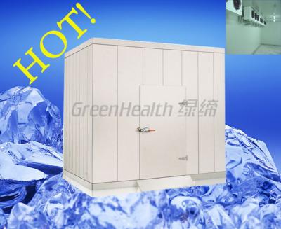 China Large Cool Room Storage 105 Cubic Meter , Double Side Painting Steel Cold Room for sale