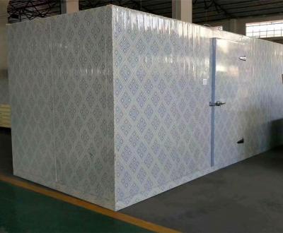 China Commercial Modular Cold Storage Room / Fish And Seafood Walk - In Freezer for sale