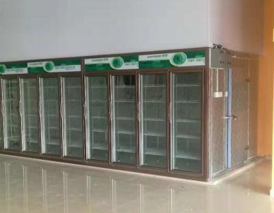 Chine Congélateur de réfrigérateur arrière d'affichage de charge de réfrigération avec l'épaisseur en verre 75mm de panneau de portes à vendre