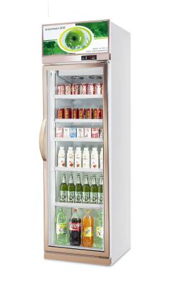 China 480L 50 / 60hz  Commercial Beverage Cooler / Upright Glass Door Chiller for sale