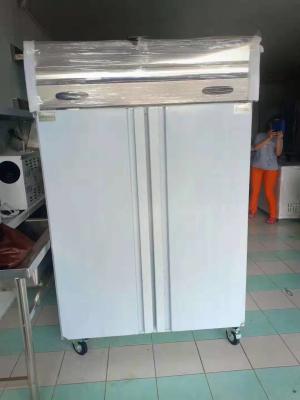 China Fan Cooling Commercial Upright Kitchen Freezer Vegetable Cold Chiller With Wheel for sale