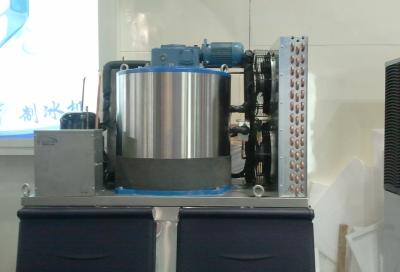 Chine CE de refroidissement dynamique ROSH de la température -18℃ de la machine à glaçons 300kg de flocon de neige à vendre