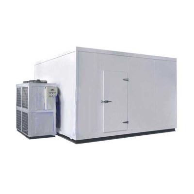 China Customized Size Blast Chiller Freezer Warehouse Cold Container Copeland Compressor for sale