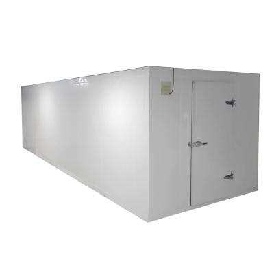 China Commercial Freezer Room Warehouse With Moisture - Proof Cold Light for sale