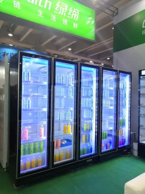 China 60Hz Modern Commercial Display Refrigerator / Wine And Beer Fridge for sale