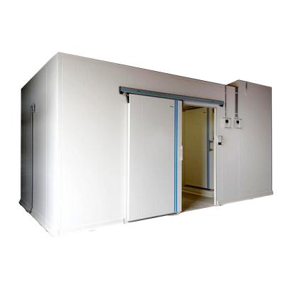 China Single Temperature Deep Freezer Frozen Cold Storage Room For Meat And Fish Seafood for sale