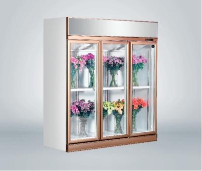 China Congelador de cristal comercial de la puerta de la flor fresca multi - enfriamiento de la fan del clima en venta