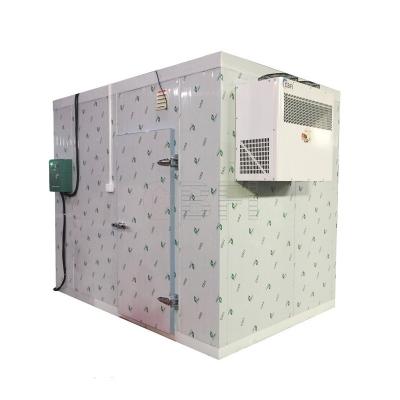 Chine High Quality Cold Room for Low Temperature Laboratory Modular Cold Storage Room à vendre