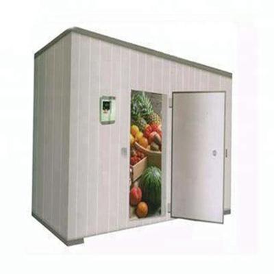 China Full Automatic Cold Storage Room For Fish Chicken With Hard Polyurethane Foam Core Material for sale