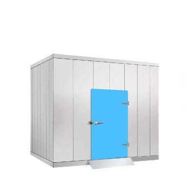 China Industrial Motorized Insulated PU Sandwich Panel Sliding Supermarket Cold Room Door for Cold Stores or RefContainer for sale