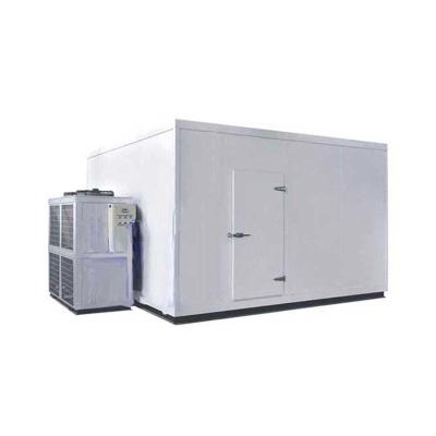 China Walk In Refrigerator Freezer Cold Room For Fresh Frozen Food 1 Year Warranty for sale