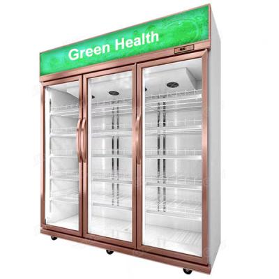 China Open chiller Supermarket Showcase Refrigerator Restaurant Refrigerator  commercial refrigerators freezer Cooler Fridge for sale