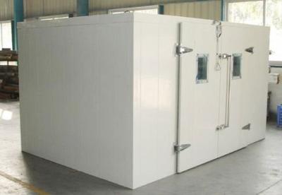 China 50mm Panel Thickness Cold Storage Room With Split Type Condensering Unit For Frozen Food for sale