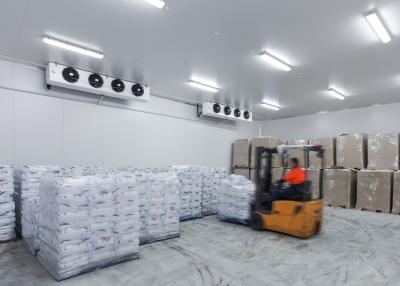 China Walk In Cold Storage Warehouse Ice House Refrigerated Room for sale