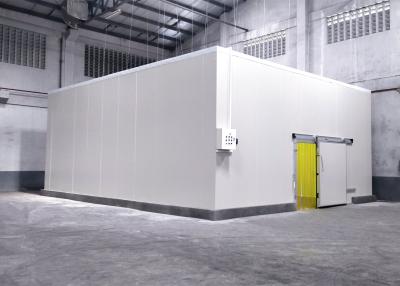 China Modual Walk In Ice Cold Room Frozen Meat Cold Storage Room for sale