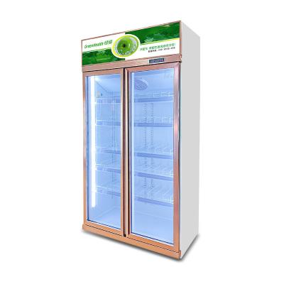 China Glass Doors Display Refrigerator Commercial Refrigerator Beverage Cooler for sale