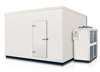 China Big Size Cold Room Chiller Cold Storage Warehouse Customized Size For frozen food for sale