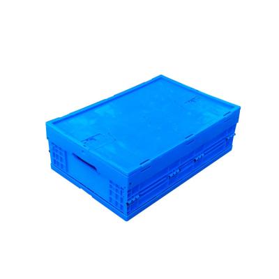 China Solid Structure Collapsible Plastic Containers Color Customized for sale