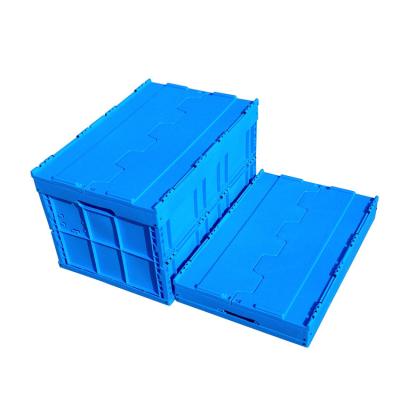 China 600*400*368 Mm Logistics Collapsible Plastic Box Attached Lids Blue Color for sale