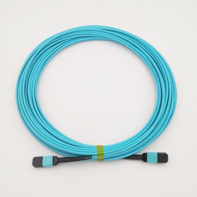 China Hochiry MPO / MTP Trunk Cable 12 Fibers Type B Multimode OM4 Fiber Patch Cord for sale