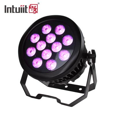 China 12x10w Waterproof Led Par Light RGBW 4 In 1 DMX512 Stage Wash Light for sale