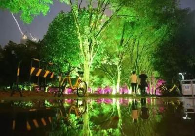 China DMX512 RGBW 36W Tree LED Flood Light LED Garden Lamp For Landscape Projection for sale