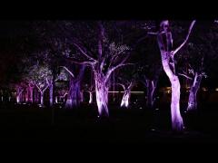 Outdoor LED Flood Light DMX512 RGBW For Garden Tree