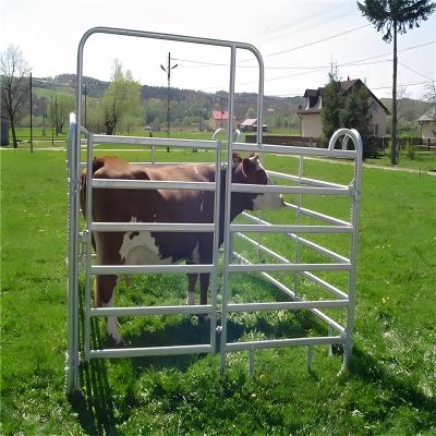 China 2.4M American Livestock Cattle Corral Fencing Round Pipe Style Cattle Fencing Panel for sale