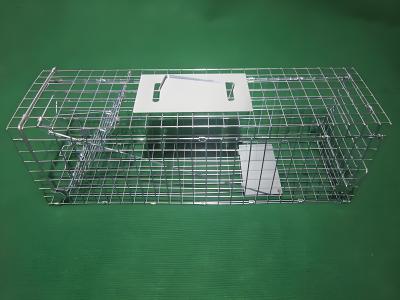 Chine 24x7x8' cage de piège de chat en direct pliée cage d'animal en direct humaine à vendre
