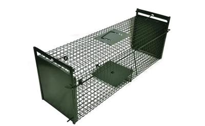 China 50cm Galvanized Large Cat Trap Cage Catch And Release Humane Animal Cage Trap for sale