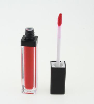 China Private Label Lip Makeup Products Matte Liquid Lipsticks 40g Weight With Plastic Tube for sale