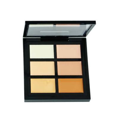 China High Definition 6 Colors Concealer Palette For Private Label And Long Lasting for sale