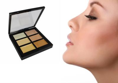 China High Pigment Professional Makeup Concealer For Women , 7.5X8X1.3cm Size for sale
