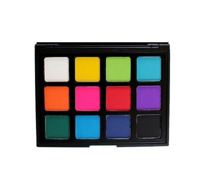 China Romantic Makeup Artist Eyeshadow Palette Matte And Shimmer 12 Colors for sale