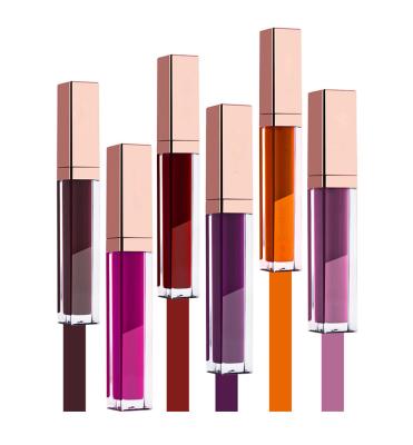 China Common Makeup Long Lasting Matte Lipstick Waterproof Cosmetics Lipgloss for sale