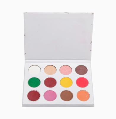China Natural Pigment Shimmer Eye Makeup Eyeshadow Palette Eco Friendly Material Easy Coloring for sale