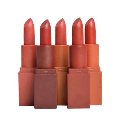 China High Pigment Lip Makeup Products Oem Matte Lipstick Set Mineral Formula 3 Years Guarantee for sale