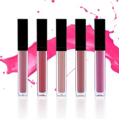 China 17 Farblippenkosmetische Produkte, die glatte wasserdichte MSDS Zustimmung Lipgloss befeuchten zu verkaufen