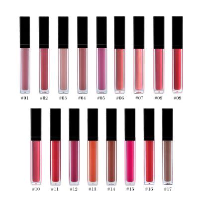 China Liquid Glossy Lipgloss Lip Makeup Products Long Lasting Suit For Any Occasions for sale