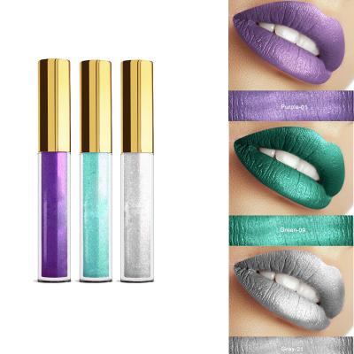 China Oem het Hoge van de Make-upproducten van de Pigmentlip Langdurige Privé Etiket Lipgloss 30 Kleuren Te koop