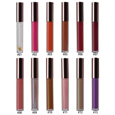 China 15 Colors Lip Makeup Cosmetics Lipgloss Moisturizing 10g With Private Logo for sale