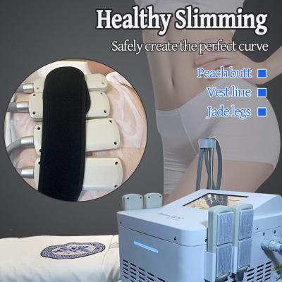 China Cryo EMS Body Slimming Fat Freezing Machine Cryolipolysis Weight Loss for sale