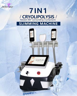 China 5 en 1 cuerpo de Cryolipolysis de la cavitación que adelgaza el reductor fresco del peso del vacío de la máquina en venta