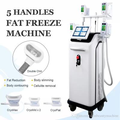 Κίνα Cryolipolysis Body Slimming Equipment Cryotherapy Machine Criolipolisis προς πώληση