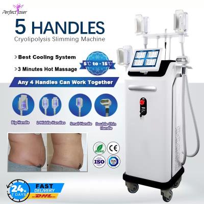 China Professional Fat Freezing Cryolipolysis Machine Slimming Weight Loss Fat Reduction for sale