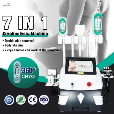 China RF Beauty Queima de Gordura Máquina de Congelamento Cryo Laser Cavitação Criolipólise à venda