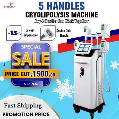 China Máquina de emagrecimento de criolipólise 360 ​​Coolsculpting perda de peso 0kpa - 100kpa à venda
